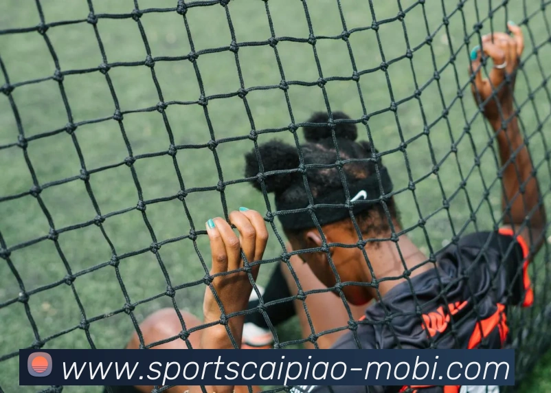 大发彩票平台生态图